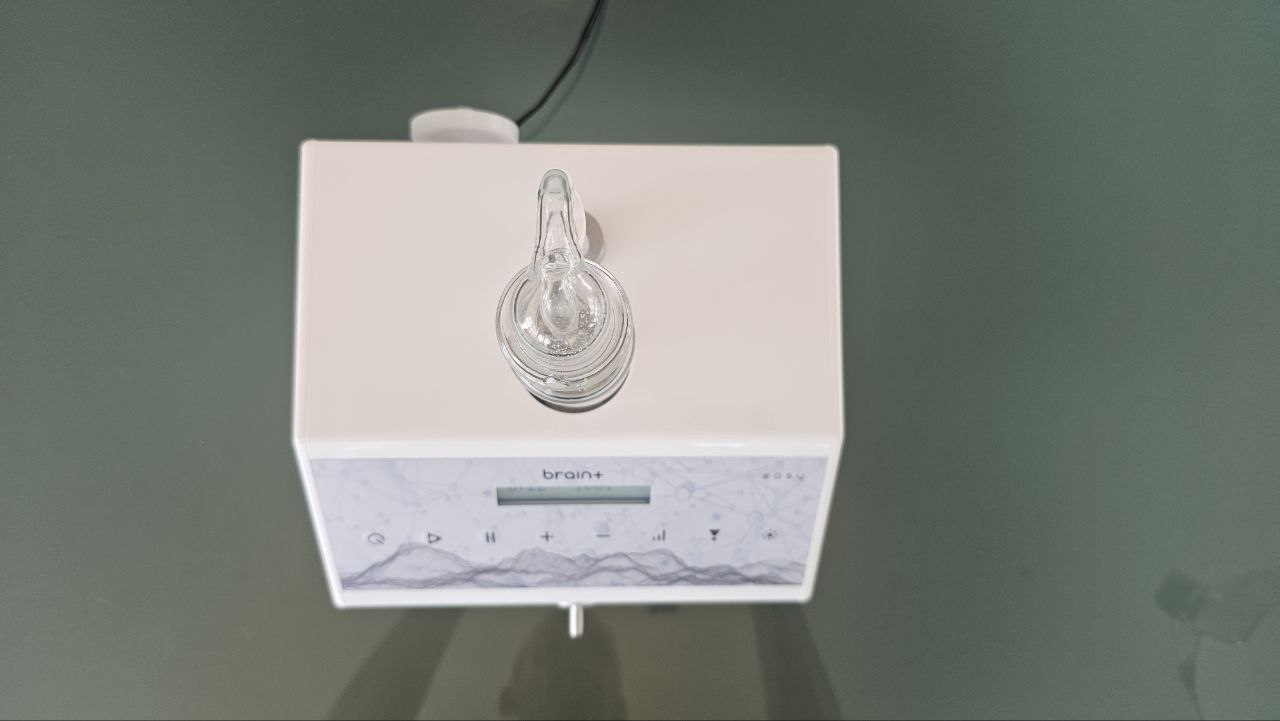 brain+ easy Standardvariante